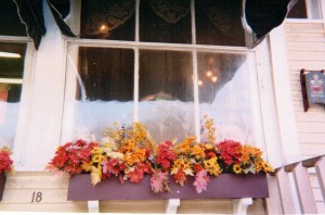 Reflections and window box