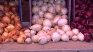 Onions on Display