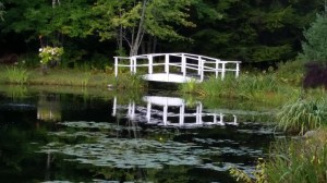 Peace Village Bridge Reflection