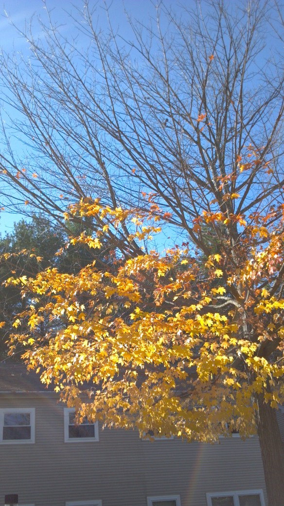 Down to her frillies 3