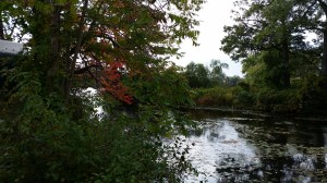 Fall REflections 15 Bright spot