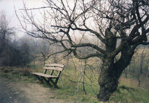 Waiting (the bench)070