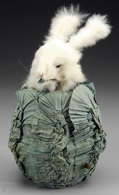 Rabbit in Cabbage 2