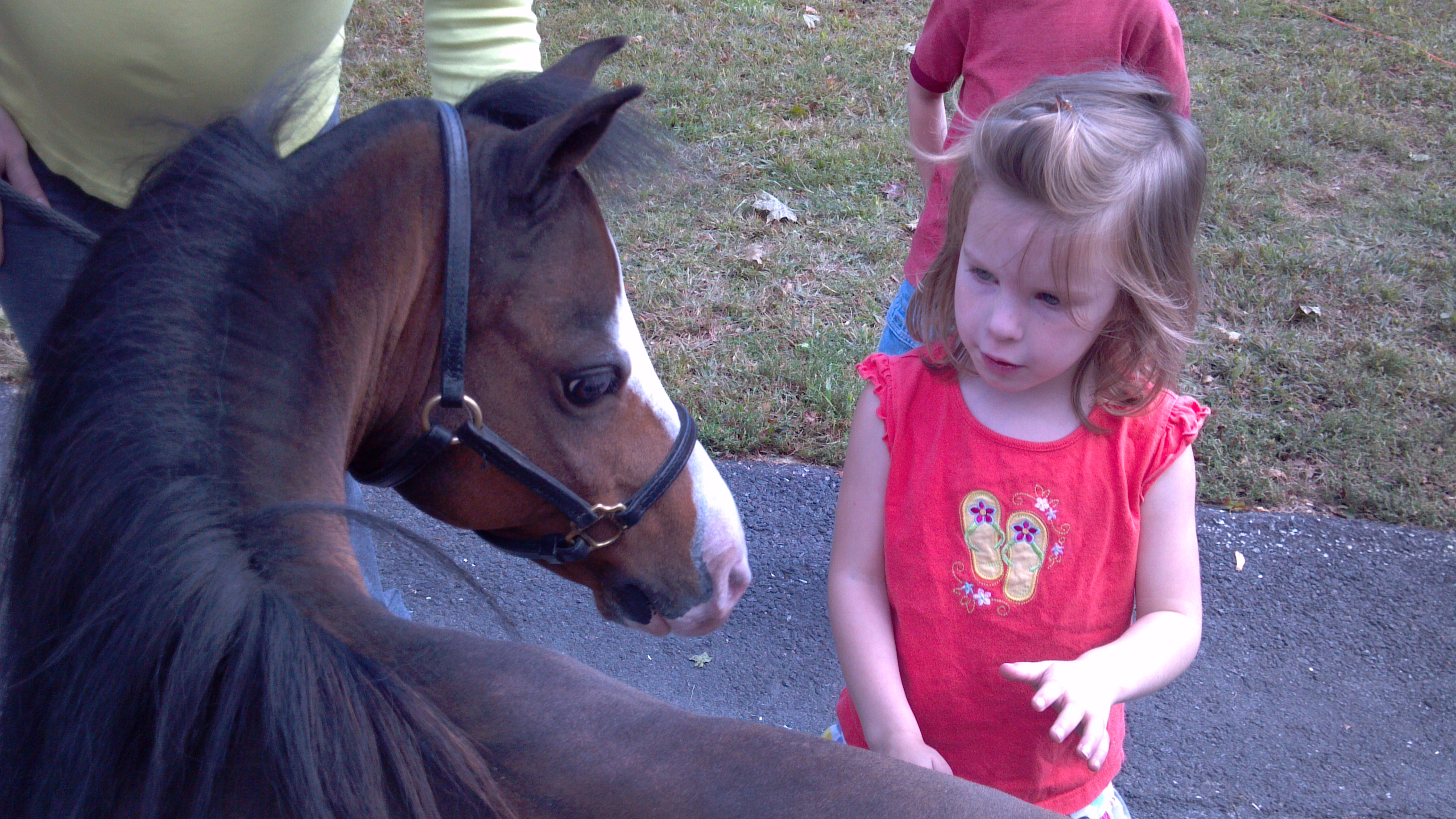Sidney and pony 6