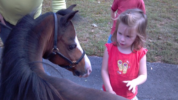 Sidney and pony 6