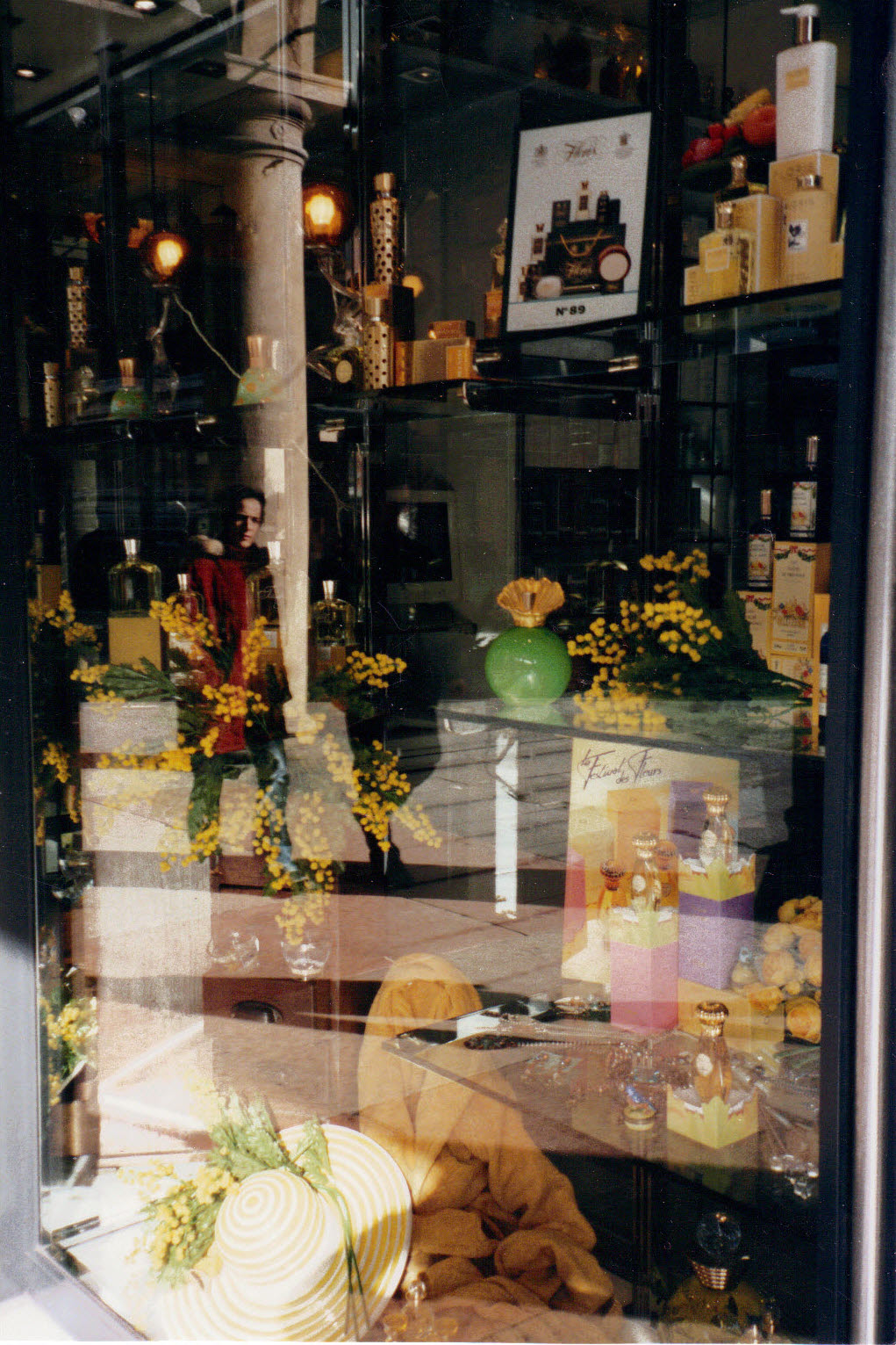 Reflections in Summer