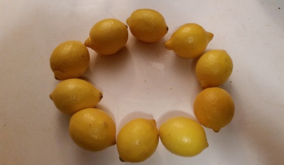 Lemon Circle