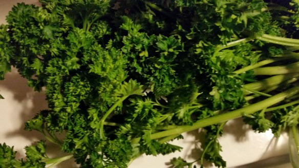 Parsley