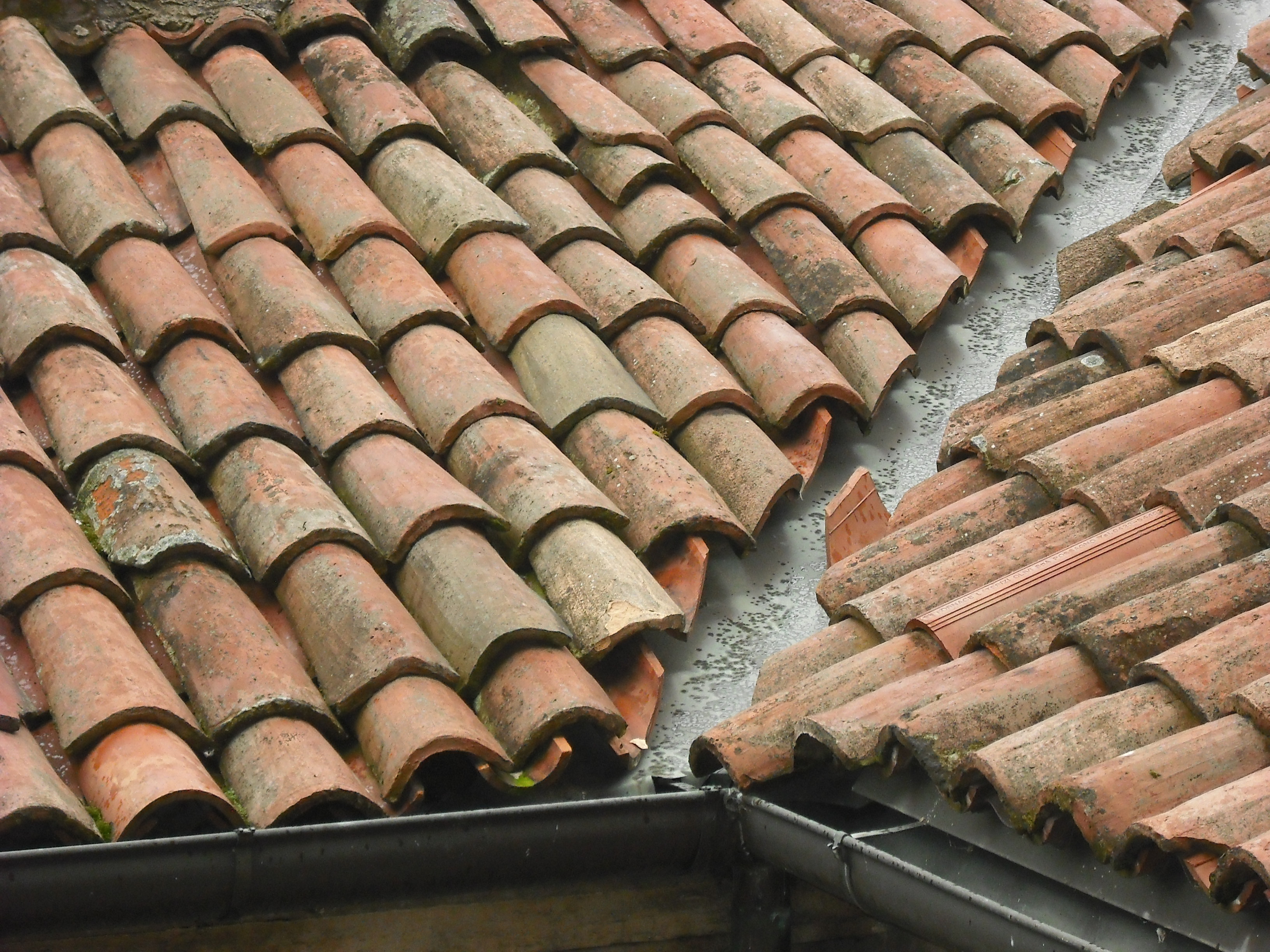 Pictures of Italy '11 031