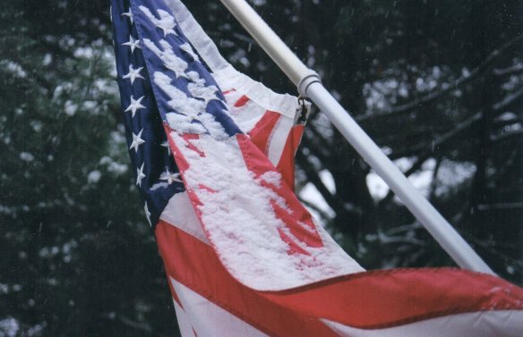 Flag in Snow Forest Lane032
